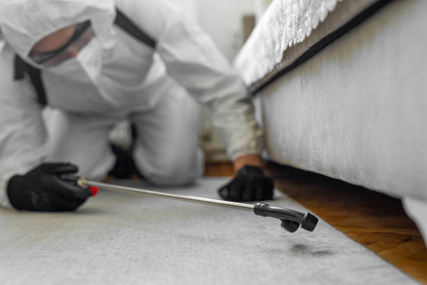 Professional Termite Control technician working in Alvord, TX