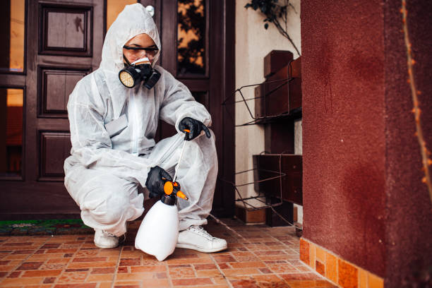 Reliable Termite Control contractor in Alvord, TX by Nex Pest Control